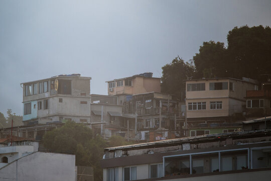 View of Morro da Babilonia favela houses on a hillside with lush trees under a misty sky Rio de Janeiro, State of Rio de Janeiro, Brazil.