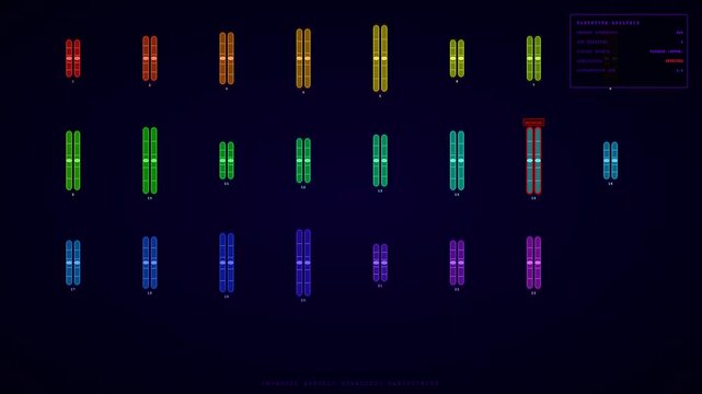A digital display featuring Organoid Growth Monitoring as seen in a complex sequence of genetic sequencing data arranged in colorful arrays on a dark interface background