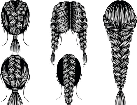 Braided Hairstyle Vector Icon Collection with Hand Drawn Engraving Style Braids, Plaits, Pigtails, and French Braids Seen From the Back