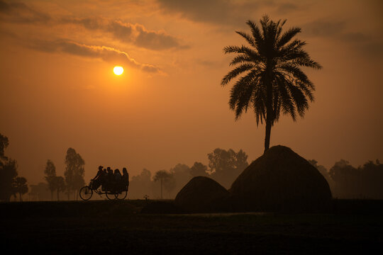 Joypurhat, Bangladesh - 24 November 2023: View of a rickshaw silhouette with passengers passing by a palm tree and haystacks during a golden sunset in the rural countryside.
