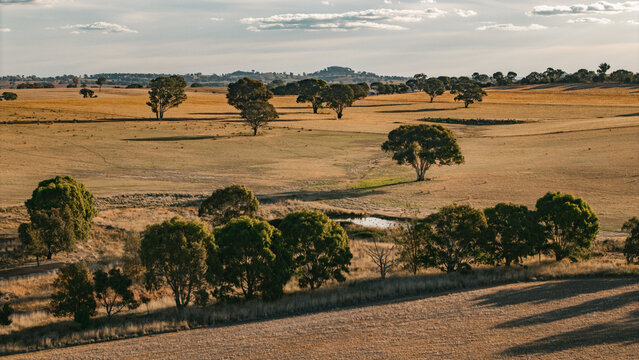 Aerial Views of Rural Australia, classic experience, Canowindra NSW