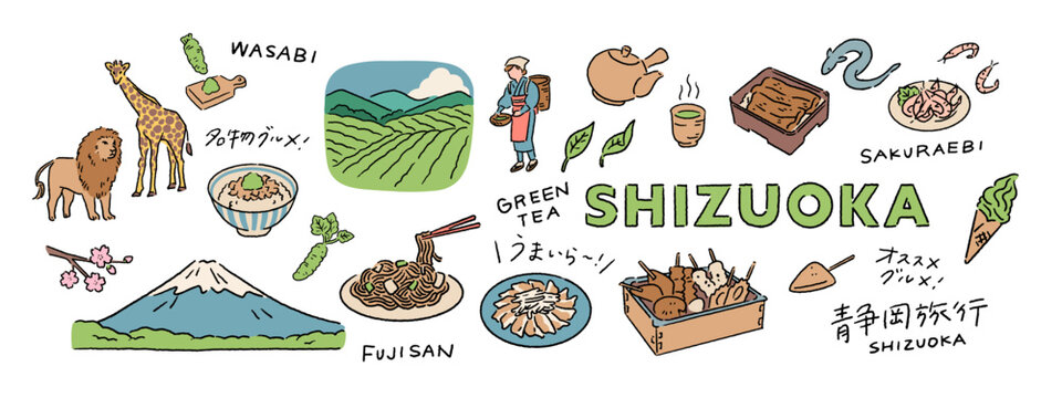 静岡の富士山、わさび、日本茶、抹茶、うなぎなどの旅行、観光の手書き文字と手描きベクターイラスト素材セット A set of handwritten Japanese text and hand-drawn vector illustrations featuring Shizuoka, Mount Fuji, Japanese tea, and more.