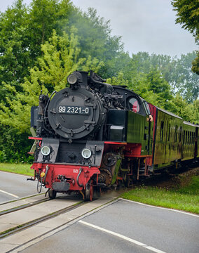 Kuhlungsborn, Germany - 21 July 2025: View of the historic Molli Bahn steam locomotive crossing a road surrounded by lush green trees.