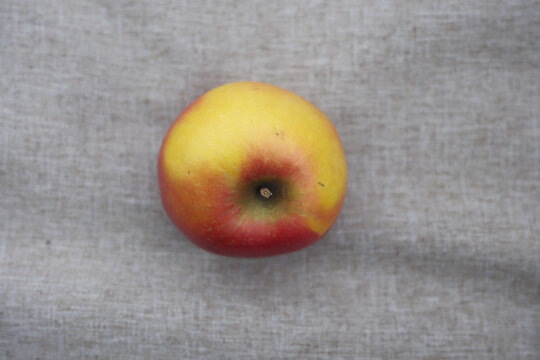 Ripe red-yellow apple lies on textured gray cloth