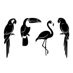 Obraz premium Set of exotic bird silhouettes including parrots toucan and flamingo.
