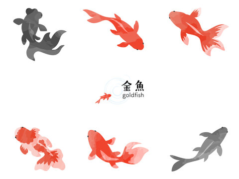 和風デザインに使える様々な品種の金魚のイラスト素材セット。水彩風のタッチが涼しげな赤・黒・斑点模様の金魚のパーツ詰め合わせ。
