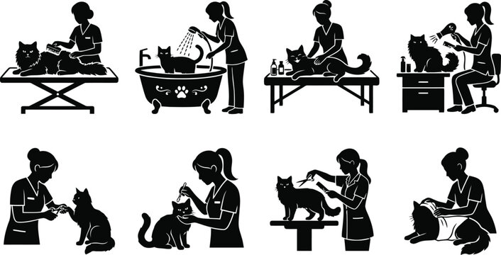 Veterinarian caring for cats in clinic