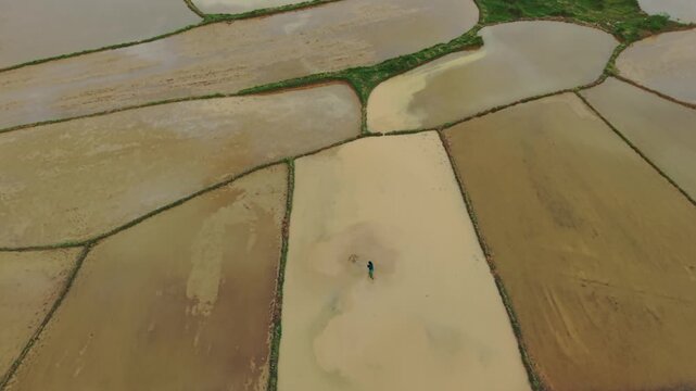 Aerial Mosaic Of Flooded Rice Paddies, Lone Asian Farmer Walking Across Mud, Drone Cinematic Perspective Over Patchwork Fields, Reflective Water Surfaces, Rural Phong Nha Vietnam, Tranquil