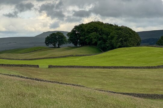 Yorkshire, UK: View of rolling green hills partitioned by traditional dry stone walls under a cloudy sky.