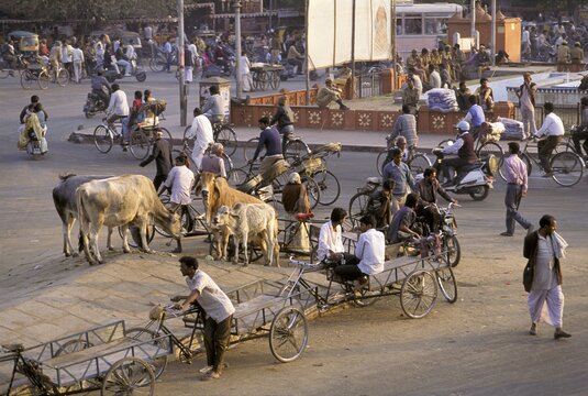 Street scene - Jaipur - Rajasthan - India