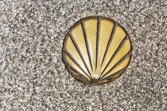 Figure of a Scallop in the asphalt, a guide for St. James pilgrims, Santiago de Compostela, Corunna, Galicia, Spain
