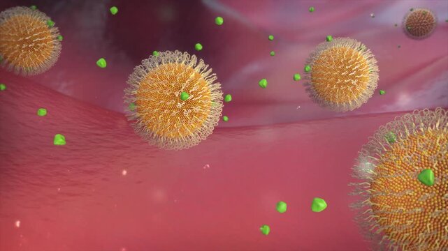 Drug molecules accumulate at tumor or inflammation sites, bind to specific receptors, and trigger targeted therapy. 3D animation of precision drug delivery and receptor interaction.