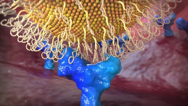 Close-up of drug molecules binding to tumor or inflammation receptors. Receptor-mediated therapy for tumors and inflammatory diseases. 3D animation.