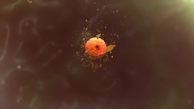 Drug works inside cells to boost lipid metabolism, reduce inflammation, and combat atherosclerosis. 3D animation of vascular healing and plaque stabilization.