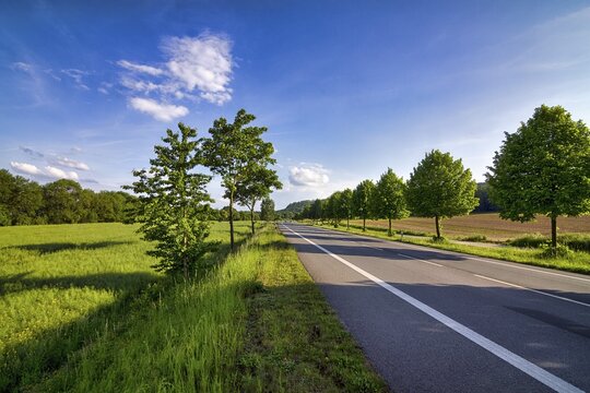 Empty federal road 64, B 64 between H&ouml;xter and Holzminden, meadows and fields in spring, trees at the roadside, verge, road marking, no road traffic, H&ouml;xter, Weserbergland, North Rhine-Westphalia, Germany