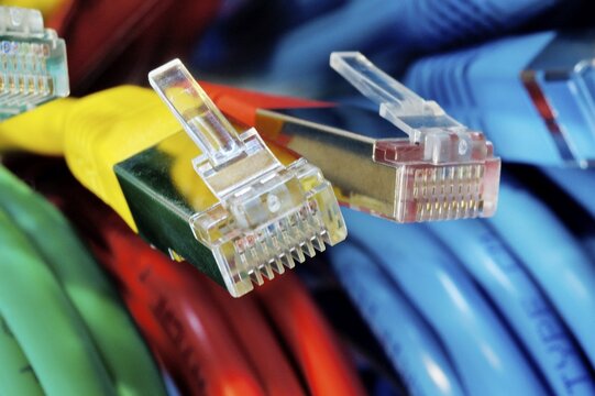 Two plugs of a coloured network cables for computer