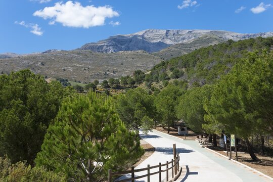 Hiking trail through green trees in a hilly mountain landscape under a blue sky, La Maroma mountain, &Aacute;rea Recreativa de Sedella, Parque Natural de las Sierras de Tejeda, Almijara and Alhama, M&aacute;laga province, Malaga, Andalusia, Spain