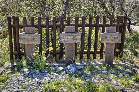 Crosses for three nameless people washed up on Helgoland, Cemetery of the Nameless, Insel D&uuml;ne, Helgoland, Schleswig-Holstein, Germany