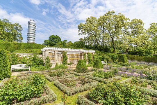 Rose garden and shell grotto, in the back the observation tower Friedenswarte, B&uuml;rgerpark Marienberg, Brandenburg an der Havel, Brandenburg, Germany
