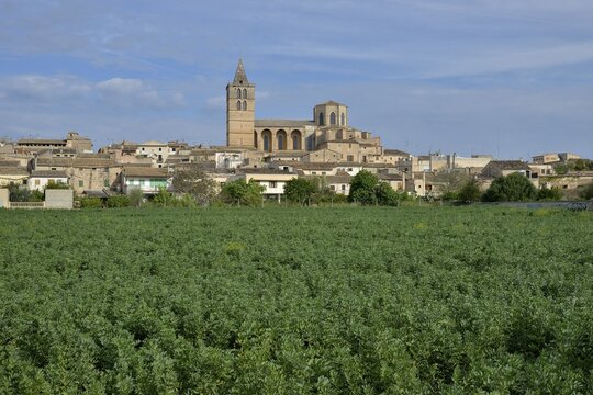 Parish church Nostra Senyora dels Angels, Sineu, Majorca, Balearic Islands, Spain
