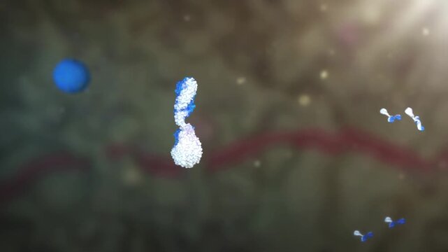 Antibodies activate T cells to attack tumors, cancer cells, and viruses. Immunotherapy uses drug-activated antibodies binding to receptors, targeting the tumor microenvironment. 3D animation.