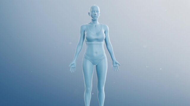 Holographic style woman showing healthy uterus in pelvic position. 3D medical animation of female reproductive anatomy for education.