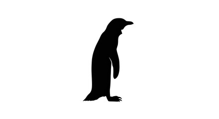 Fototapeta premium A penguin stands alone on ice in Antarctica looking sideways.