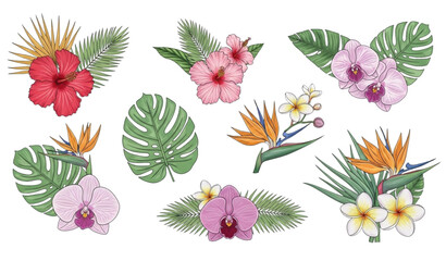 Fototapeta premium Exotic tropical floral vector illustration set style