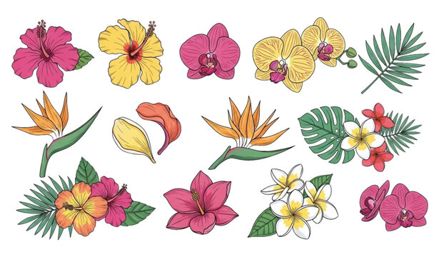 Modern exotic tropical flower vector design collection