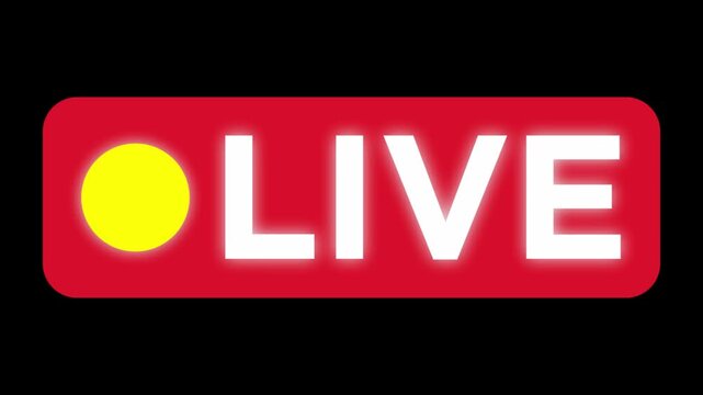 vector animation live video production news