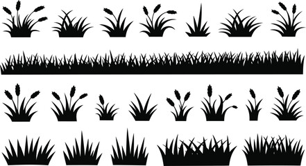 Black silhouette grass and wheat plants collection © MDRAJU