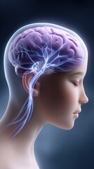 Obraz premium Human brain and nervous system medical illustration