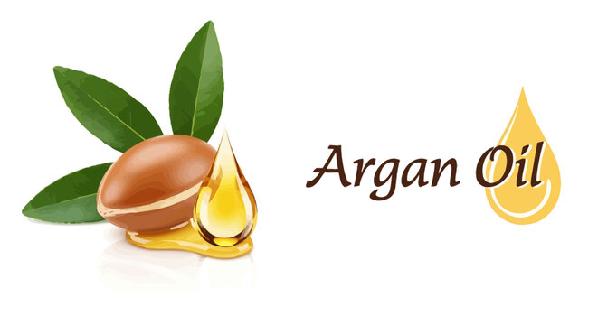 Natural argan oil with nut and green leaves