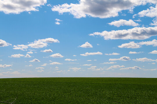 A wide open green field stretches beneath a bright blue sky filled with scattered white clouds the landscape feels peaceful natural and spacious on a sunny day
