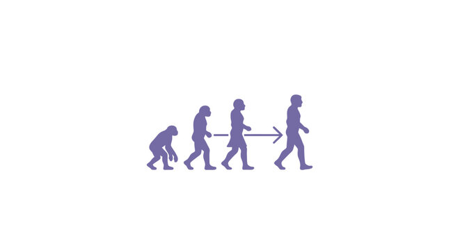 Human evolution progress silhouette icon with purple figures.
