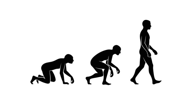 Human evolution stages silhouette from ape to modern man.