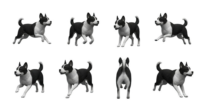 a white and black dog running in various poses against a white backdrop animation reference
