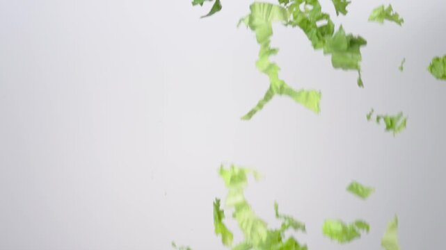 Fresh crunchy Chopped Green Leaf Lettuce raining down on a white backdrop in slow motion close up macro.