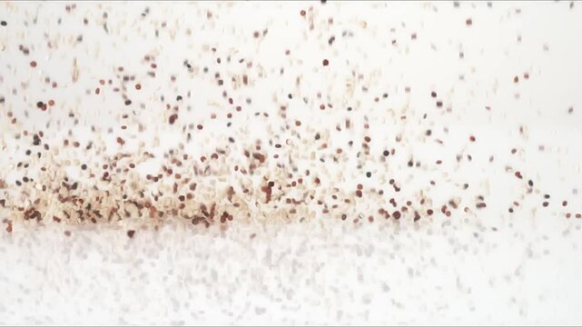 Plant protein superfood Tri-color Quinoa bouncing on a white tabletop in slow motion close up macro before settling.