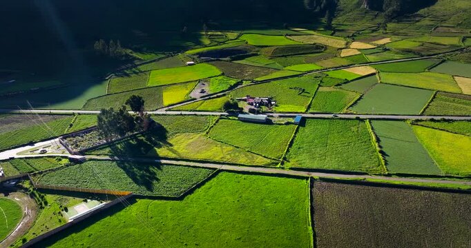 Green agricultural patchwork farmland in Chivay, Colca Canyon, Peru, South America. Picturesque rural landscape, cinematic aerial dolly forward
