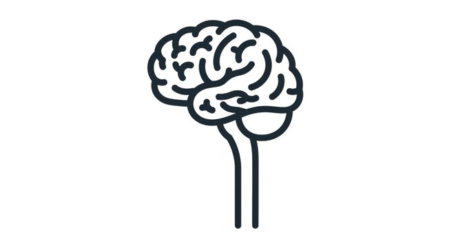 Stylized Outline of Human Brain and Brainstem.