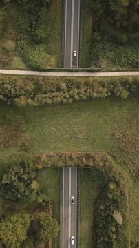 Top-down aerial view of a wildlife crossing ecoduct over a highway with cars driving below, sustainable green infrastructure and environmental conservation concept.