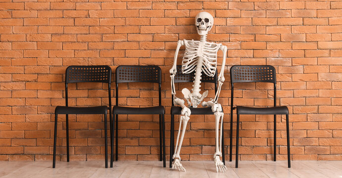 Human skeleton model sitting in chair near brick wall