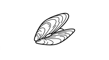 Open Mussel Shell Illustration - Simple Line Art © nurul mustofa