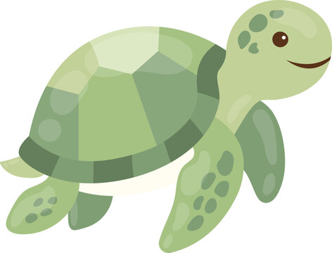 Cute green sea turtle character illustration