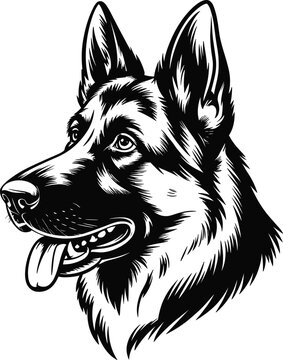 German shepherd dog head portrait illustration, loyal guard domestic pet animal, isolated black and white hand drawn sketch line art design