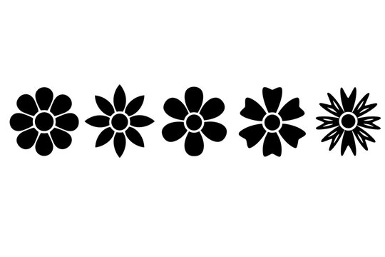 Floral Petal Progression Silhouette