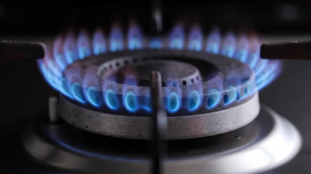 Close-up view of a circular gas stove burner with vibrant blue flames ignited in a domestic kitchen setting, showing heat energy and domestic cooking appliance details.
