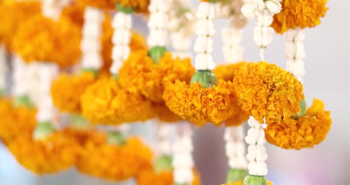 Traditional Thai flower garlands with orange marigolds and jasmine hanging decoration, symbolizing culture, respect, celebration, and elegant Thai ceremony atmosphere