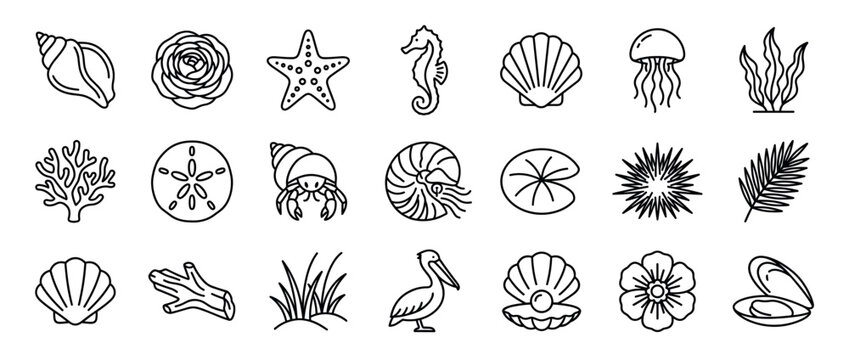 Sea life and ocean creatures icons set. Marine animals and plants. Shells, starfish, seahorse, jellyfish. Underwater nature symbols. Outline line art style